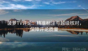 菠萝TV评论：精准标注与越级核对，保障评论质量
